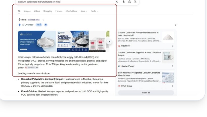 Client cited in a Google AI Overview result
