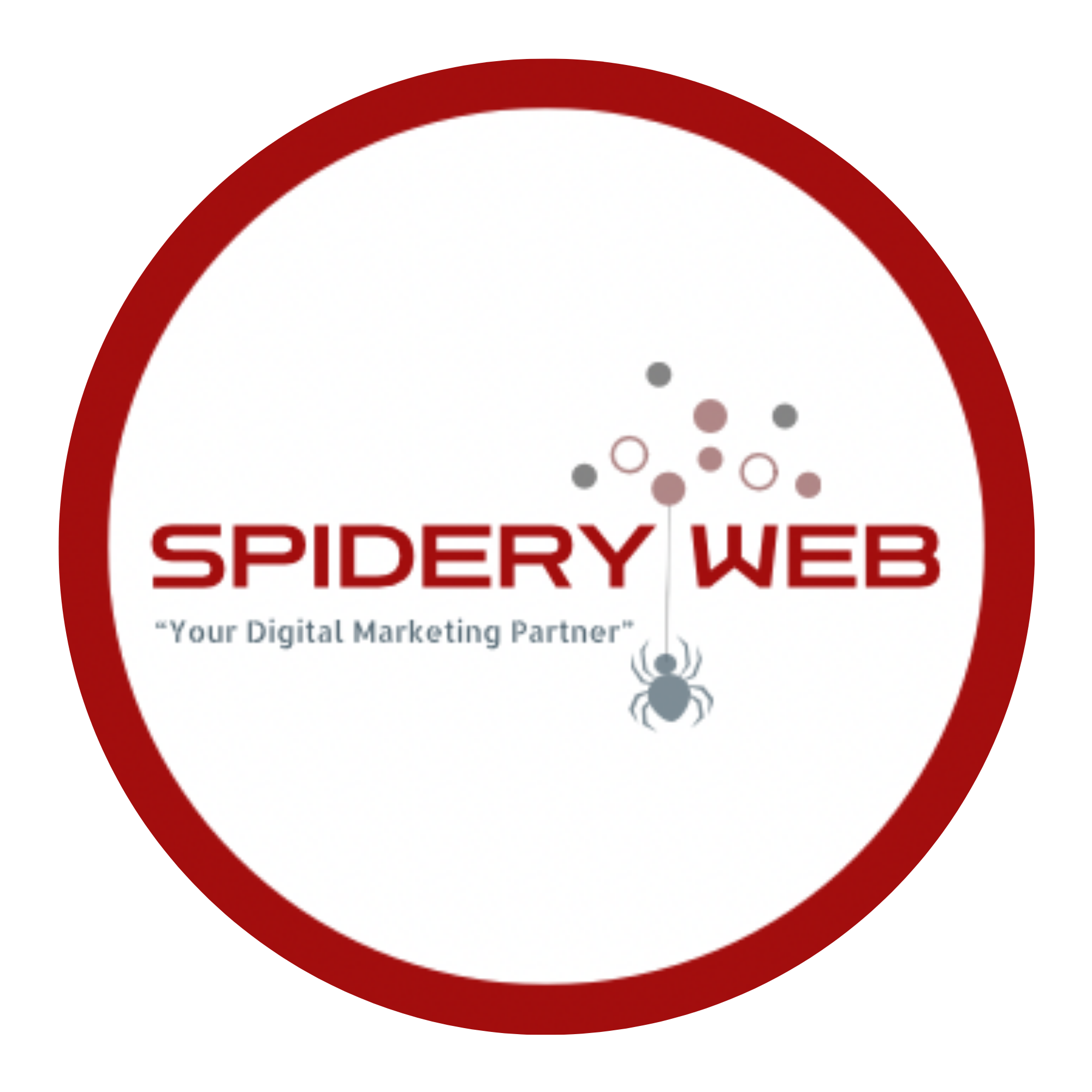 Spidery Web Logo